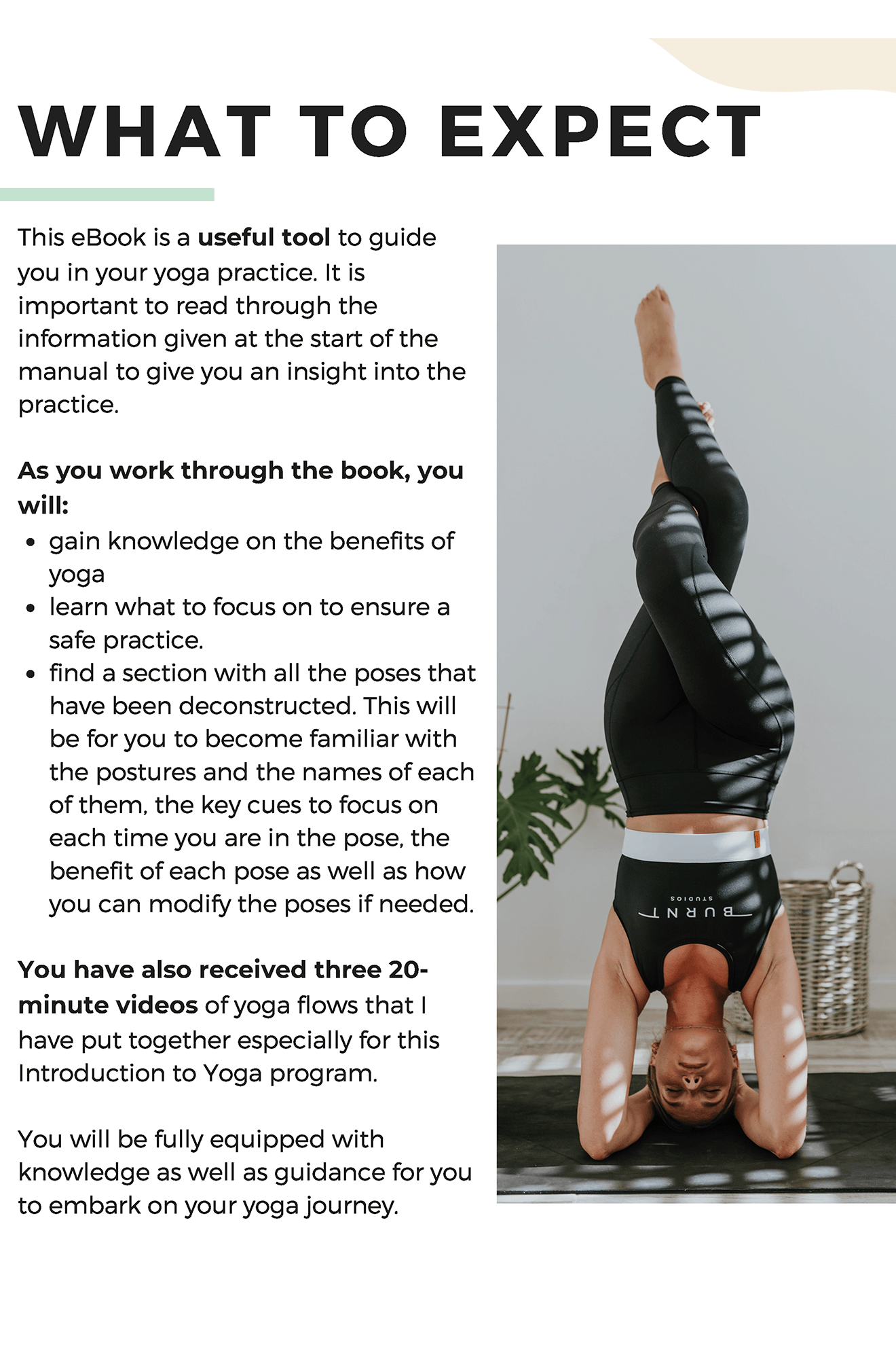 Introduction to Yoga